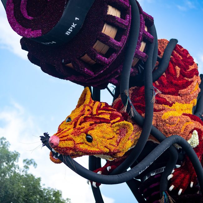 Corso Vollenhove 2025