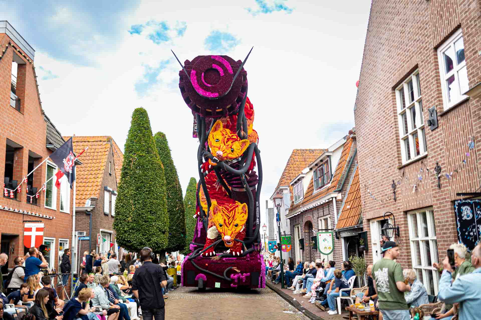 Twee Nijenhuizen Corso Vollenhove 2025 1
