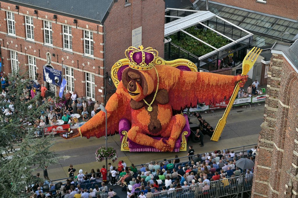 Corsotrip naar belgië
