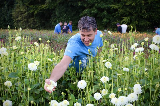 Persfoto Fatal miljoenste bloem 3 – door Janine Renes